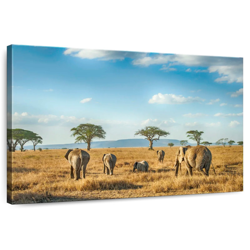 Éléphants Brampt Serengeti, H 24 po x l 36 po
