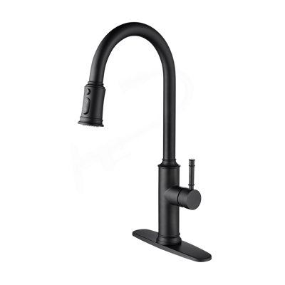 Kitchen Faucet With Pull Out Spraye