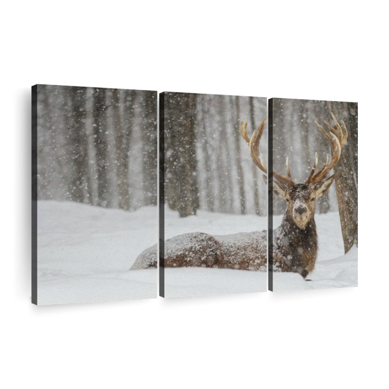 «Snow Covered Elk», 3 pièces sur toile, H 24 po x l 38 po x P 1,25 po