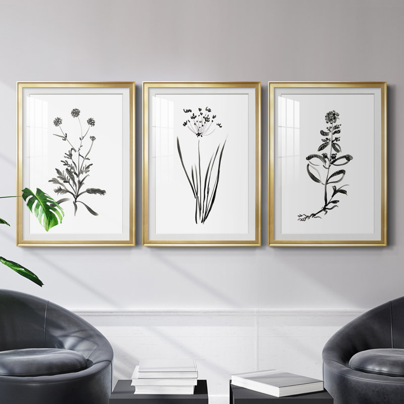 Inky Botanical I - ensemble de 3 reproductions d'art graphique, Encadrement doré, H 30,5 po x l 127,5 po x P 1,5 po
