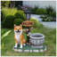 Décoration de jardin pour chien assis Akita