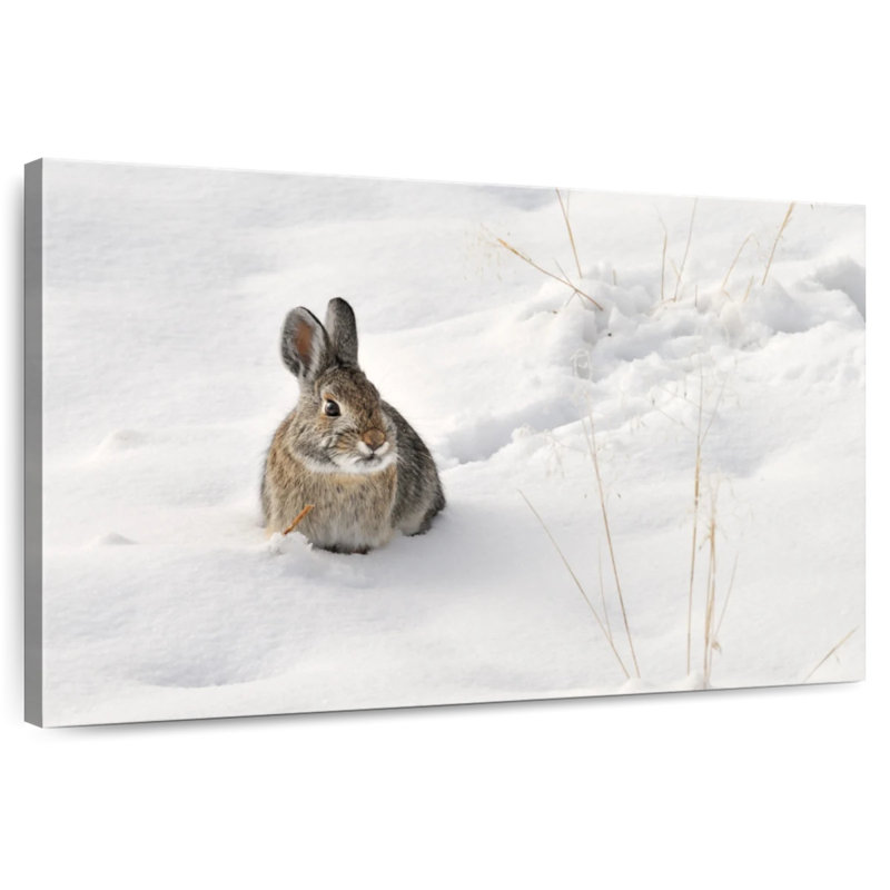 Ronce lapin dans la neige, H 30 po x l 45 po