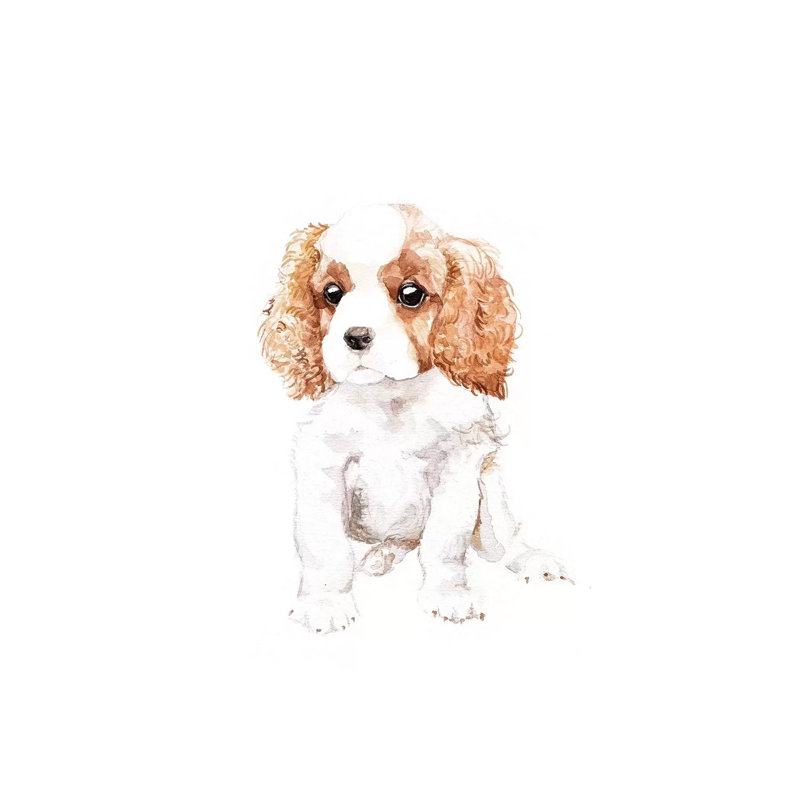 Cavalier King Charles Spaniel by Wandering Laur - Wrapped Canvas Painting, 66.04 cm H x 45.72 cm W x 3.175 cm D