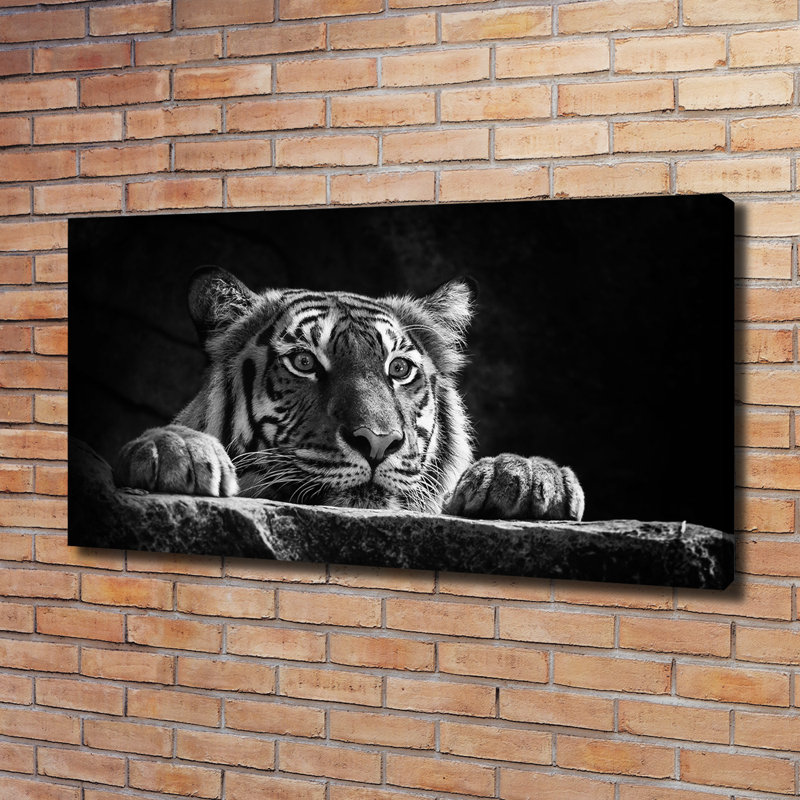 Tiger - Wrapped Canvas Print