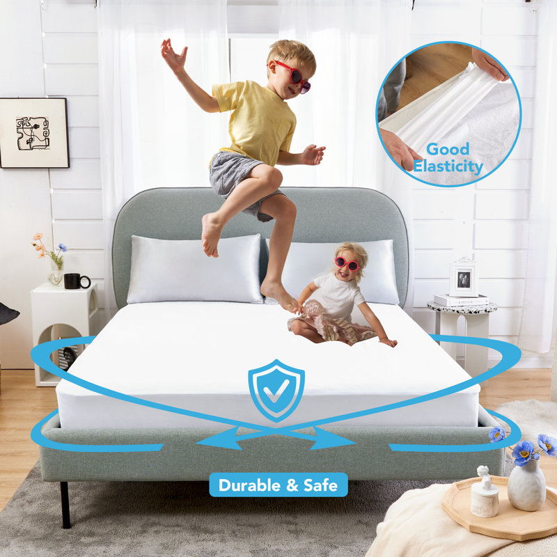 Oglethorpe Waterproof Zipper Mattress Protector Mattress Protector Case Pack, Queen