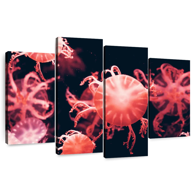 Red Jellyfish, H 18 po x l 30 po