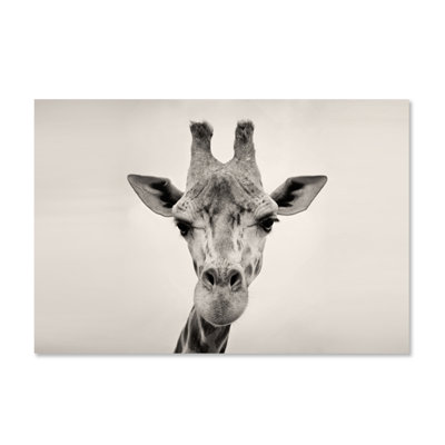 Courious Gariffe Print
