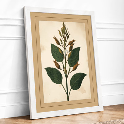 Specimen Botanical - Print