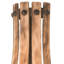 Barrel Stave 3 - Light Sconce