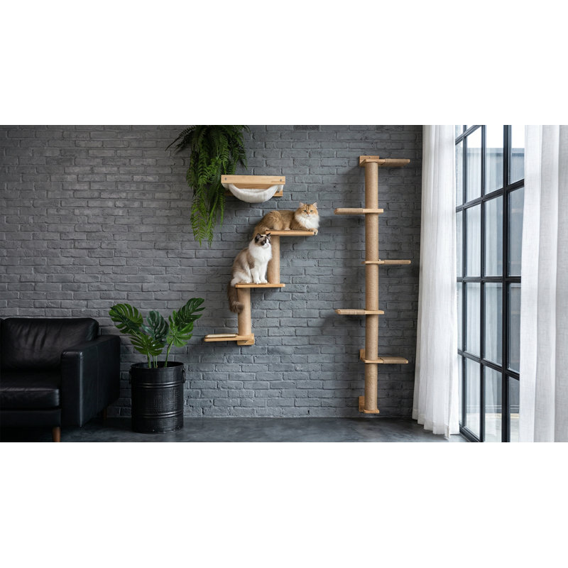 Grattoir 3-en-1 mural pour chat, chaton bricolage et plateforme perchoir