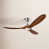 Brushed Steel with Dark Walnut Blades