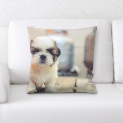 Aiden Microsuede Reversible Throw Pillow