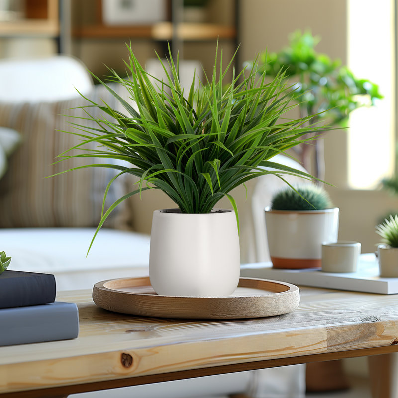11'' Faux Foliage Grass in Ceramic Pot
