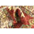 Nero Red Rug