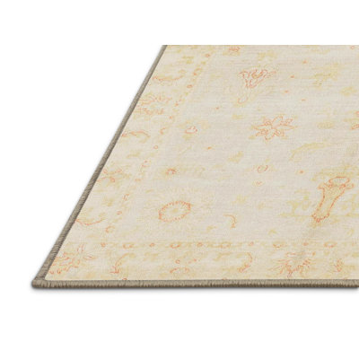 Oriental Indoor Rug