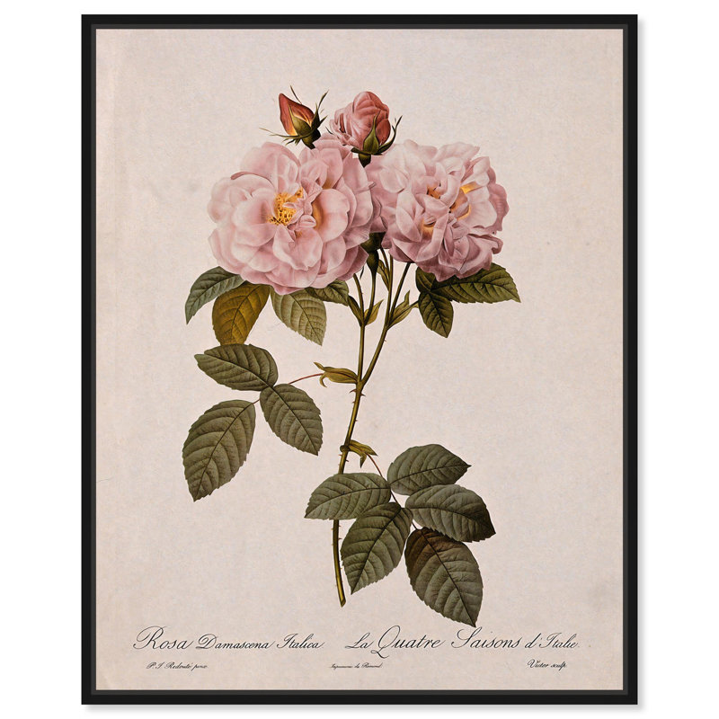 Toile damassée rose par Art Remedy, Noir, H 21 po x l 17 po, Cadre flottant