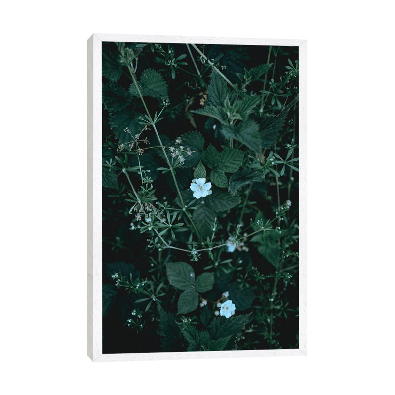 Greenery 1 Piece Wall Art on Canvas, 66.04 cm H x 45.72 cm W, White Framed