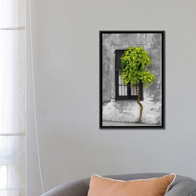 Arbre en face de la fenêtre par Panoramic Images - reproduction de photo sur toile