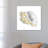 Citron Shell Sketch III-758174352