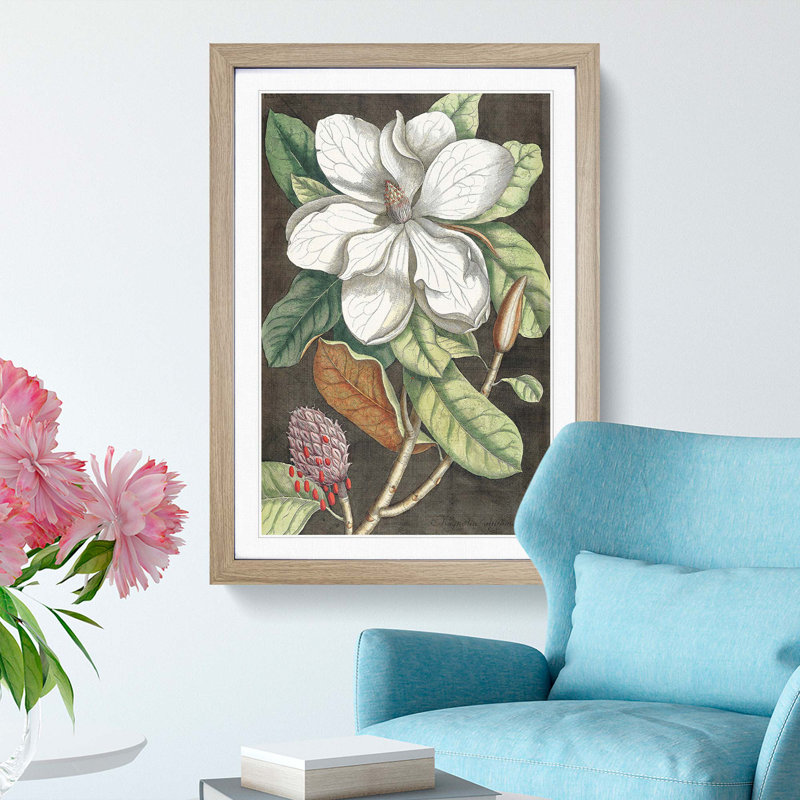 Laurel Magnolia Tree by Mark Catesby - Picture Frame Painting Print, Oak Framed, 36cm H x 27cm W x 2cm D