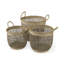 Ensemble de 3 paniers en ruppie maritime