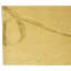 Hand Knotted Area Rug in Gold