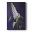 FLORAL Series CCXVII - Gallery Cavas sur mesure-658634644