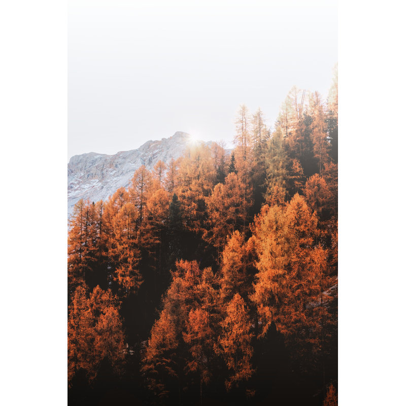 Hill Trees - Wrapped Canvas Print, 46cm H x 30cm W x 3.8cm D
