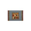 Hand Knotted Southwestern Area Rug