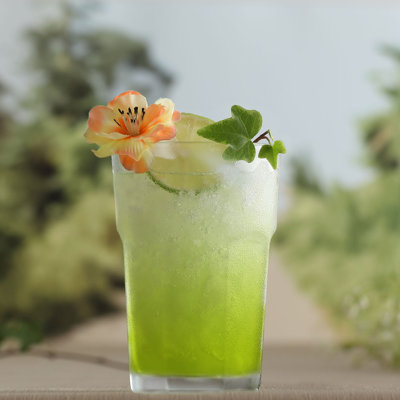Verres à boire 6 pièces Aras