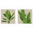 Palm Isle I S/2