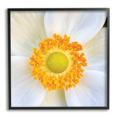Gros plan sur une fleur blanche encadrée sur bois par JG Studios
