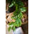 Faux Foliage Plant-1861902809-1772186845