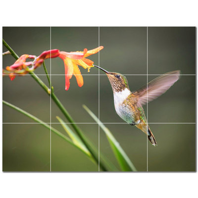 Photo d'oiseau 4,25 x 4,25