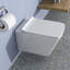 Toilette murale une pièce Rainlex RX-T41W
