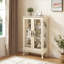 Vitrine Curio