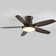 Laurenzia 122cm Ceiling Fan with LED Lights