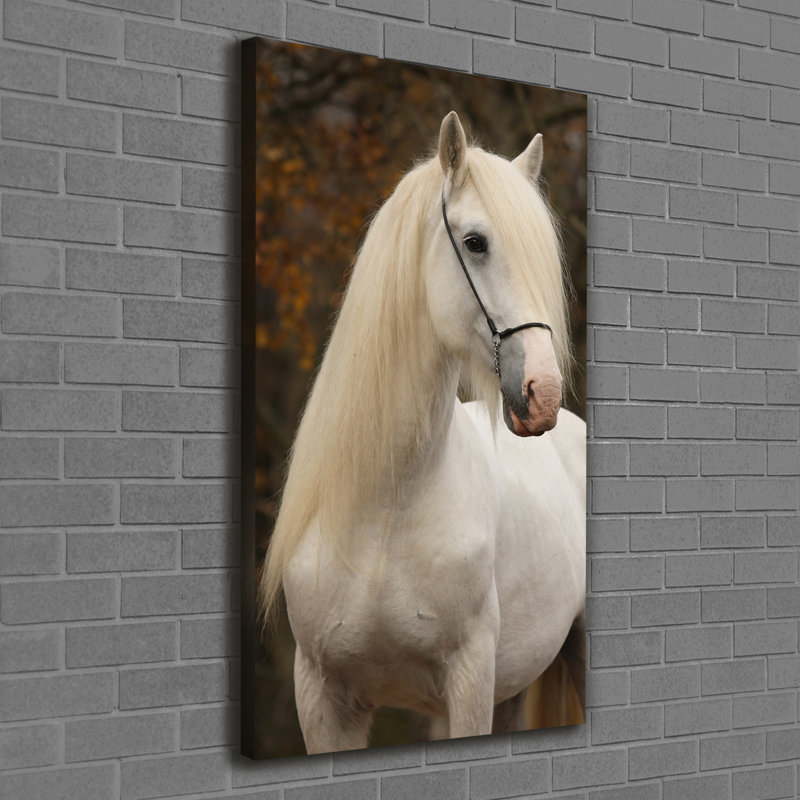 White Horse - Wrapped Canvas Print