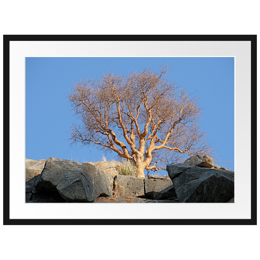 Gerahmtes Poster Einsamer Baum im Gebirge