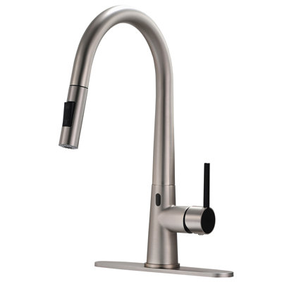 GAWEZA Pull Down Kitchen Faucet
