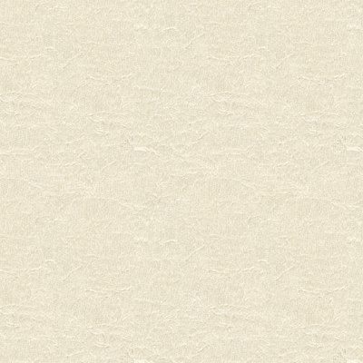 Basics Fabric