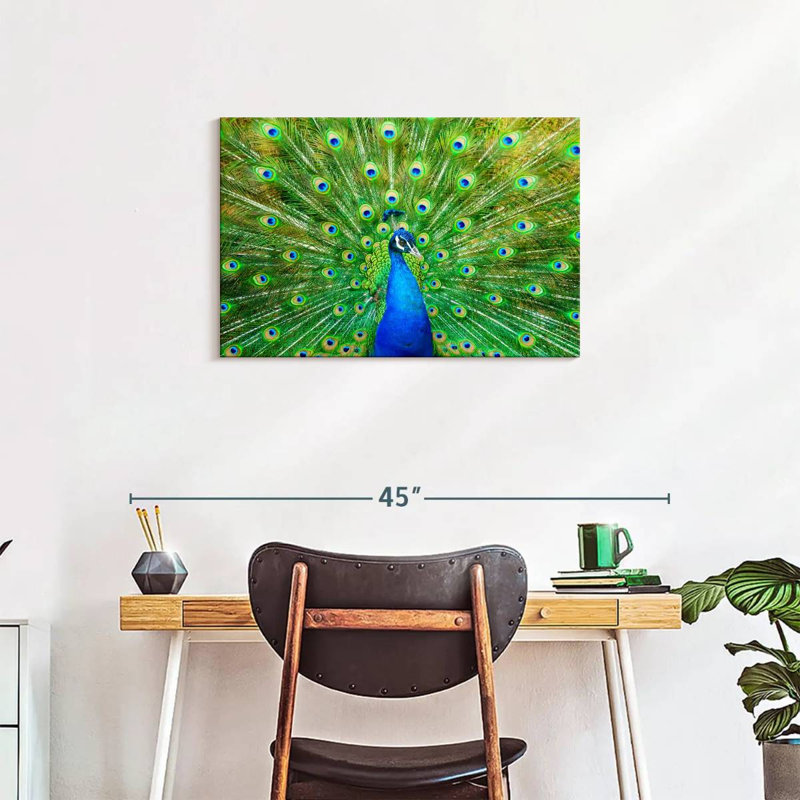 Crowle Flamboyant Peacock, 20" H x 30" W