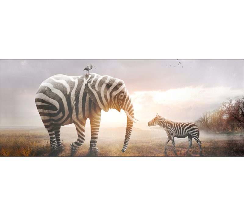 Print on Float Glass, 50cm H x 125cm W x 1.4cm D