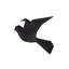 Origami Bird Wall Décor-58925761-58925763