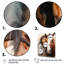 Kehara Cowgirls And Horse Bond I sur impression sur toile-1823999281-1823999291