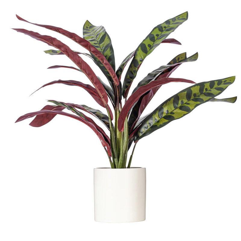 18.9'' Faux Calathea Plant in Ceramic Pot