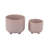 Chrishiya Ceramic Planter