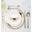 Turcotte Piece Porcelain China Dinnerware Set - Service for 6