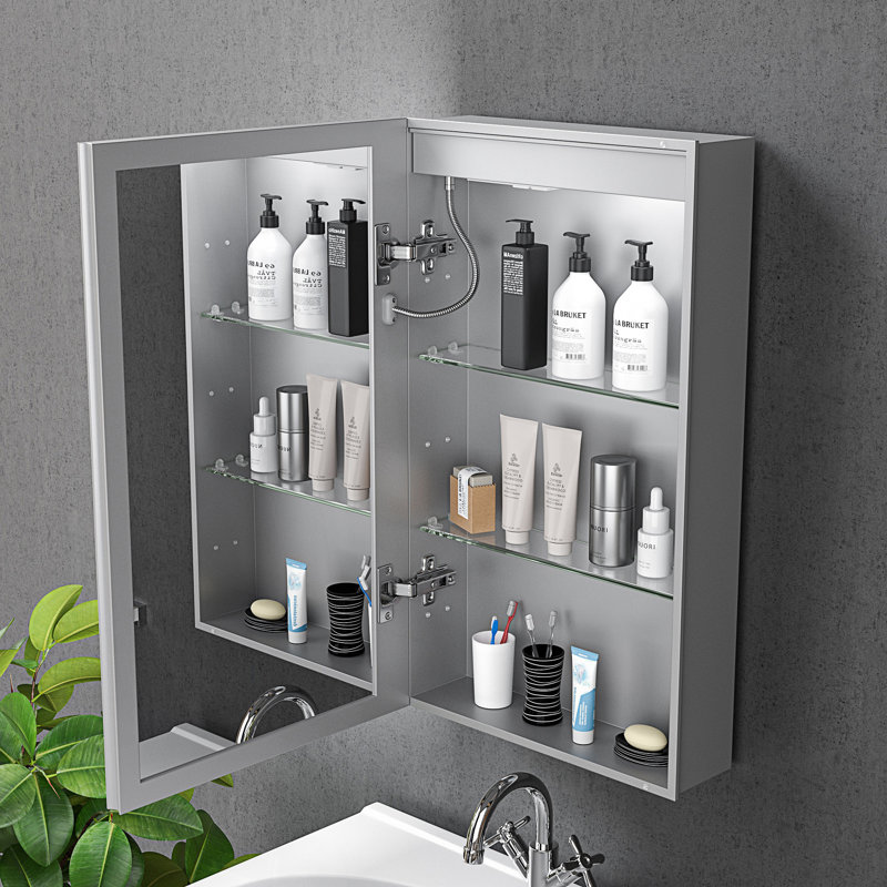 Armoire à pharmacie à DEL avec miroir, armoire de salle de bain avec lumières et armoire de salon