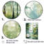 Tranquil Shadows Green Forest II - reproduction sur toile-1111366855-1111366856